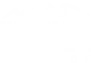 WildLife Outdoor