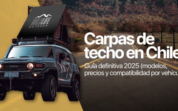 ingenium_Mesa_de_trabajo_1_copia_22-02